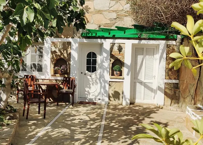 The Fig Tree イオス島 チョーラ